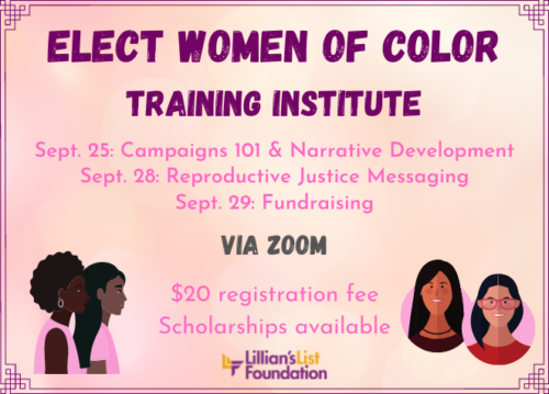 Introducing the Elect WOC Training Institute