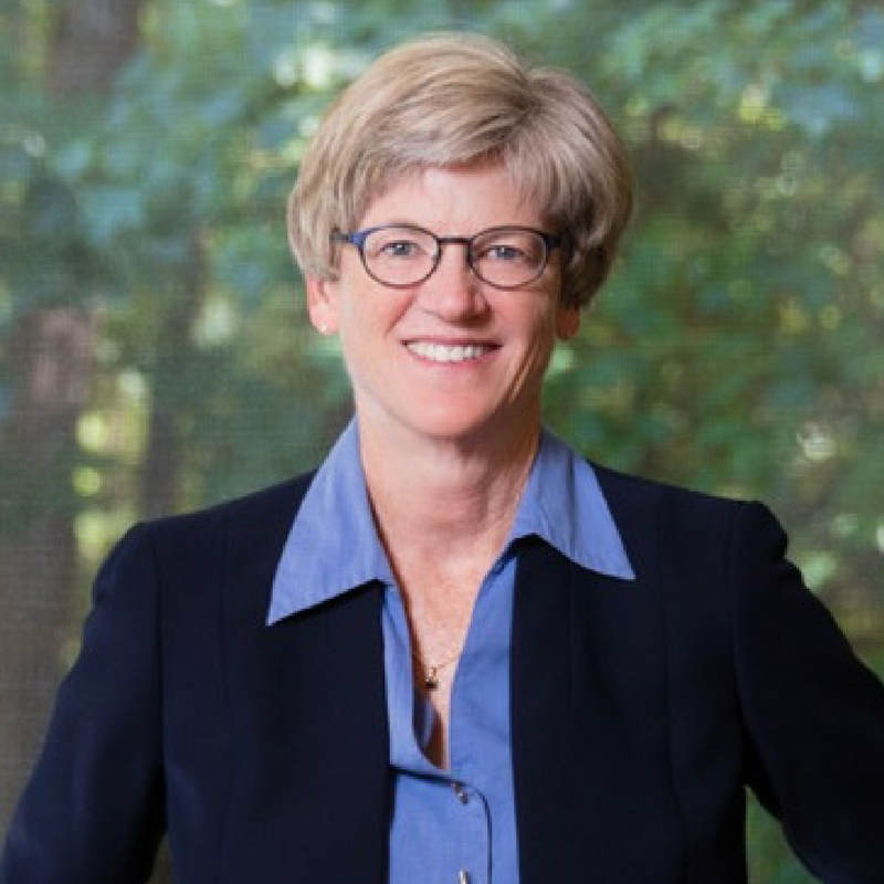 Marcia Morey Headshot